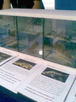 Výstava živých ryb - Výzkumný ústav rybářský