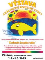 Království kouzelné rybky - plakát