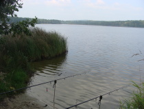 Rybaření na Staňkovském rybníce
