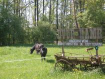 Penzion a statek Dvůr Hamr Dvůr Hamr