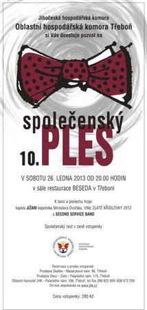 Společenský ples 2013 – plakát