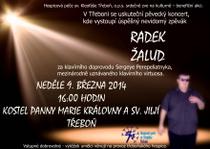 Radek Žalud - plakát