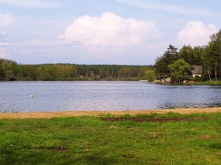 Pohled na rybník Dvořiště, který je u obce Smržov na Třeboňsku. Rybník má rozlohu 395 ha.