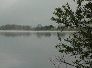 Pohled na Horisický rybník, zvaný také rybník Veselský. Tento rybníkbyl postaven Štěpánkem Netolickým na jeho Zlaté stoce. Má rozlohu 439 ha.