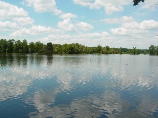 Rybník Láska je jedním z rybníků Nadějské rybniční soustava. Láska má rozlohu 16 ha.