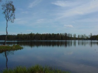 Pohled na hladinu Staňkovského rybníka. Tento rybník je nejhlubším a nejdelším rybníkem u nás.  Je využíván jako rekreační a pro sportovní rybolov. Má rozlohu 241 ha.