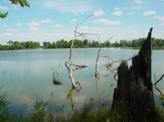 Pohled na rybník Víra, který spolu s rybníky Naděje, Láska, Skutek a Dobrá Vůle tvoří na Třeboňsku tzv. Nadějsou rybniční soustavu.