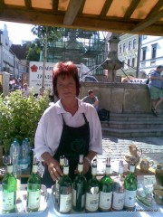 V roce 2008 se na rybářských slavnostech představil v premiéře Třeboňsko - znovínský gastroturistický program "víno - ryby • ryby - víno". Návštěvnící zde mohli společně ochutnat výrobky z ryb a víno Znovín  Znojmo.
