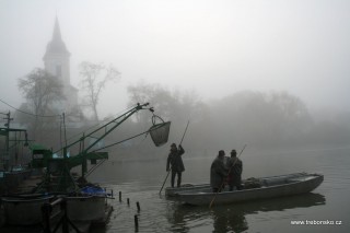 Pohled na Bošilecký rybník v době výlovu 2005. V pozadí je vidět věž Bošileckého kostelíka.