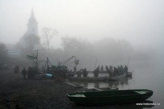 Pohled na kádiště Bošileckého rybníka, kde právě probíhá vybírání ryb ze sítě a třídění.