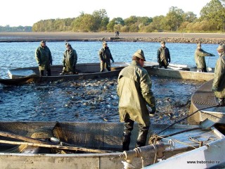 Pohled na práci rybářů při výlovu Rožmberka. Zkušení rybáři na lodích sledují tzv. jádření při čemž jsou spolu se síti přittahováni ke kádišti.