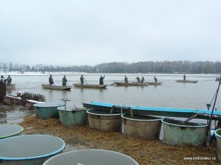 Pohled od kádiště na rybník Svět v den výlovu rybníka Svět 2004.