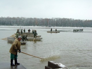 Pohled na rybáře,  kteří tyčemi shání (plaší) rybu, aby sešla do loviště.