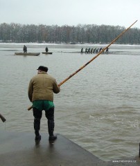 Pohled na rybáře,  který tyčí shání (plaší) rybu, aby sešla do loviště.