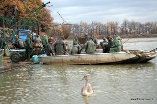 Pohled na práci třeboňských rybářů při výlovu rybníka Svět v roce 2006.