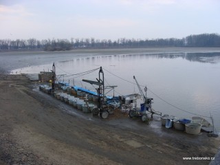 Pohled na kádiště, tj. zpevněné místo u loviště, na němž stojí připravené kádě (nádobí) na vylovené ryby.