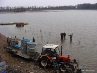 Rybáři připravují loviště