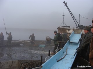 Rybáři nejdříve vybírají dlouhými saky choulostivé doplňkové ryby (štika, candát).