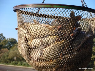 Mechanický keser je schopný jednorázově vybrat a přemístit až 100 kg ryb.