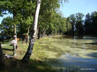 Na rybníku Hradeček soutěžily děti
