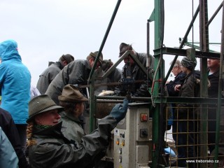 Poslední úpravy rybářských rukavic a rybářka jde na třídění ryby.