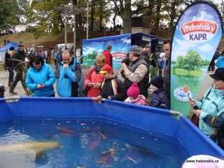Výstava živých ryb láká nejen děti. Zájmu se těší zvláště velký sumec albín.