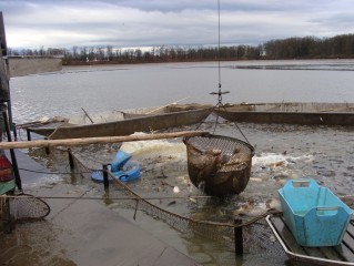 Výlovy rybníků podzim 2012