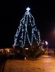 Vánoční strom v Suchdole n. L.