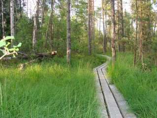 Přírodní rezervace a památky v CHKO Třeboňsko