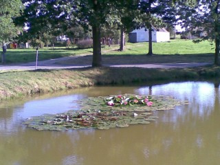 Návesní rybník