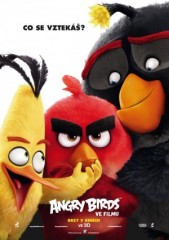 Angry Birds ve filmu