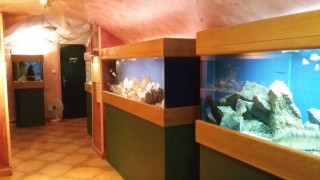 Akvárium Vratislavský dům