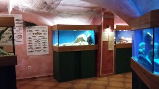 Akvárium Vratislavský dům