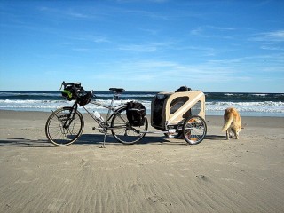 Půjčovna nákladních vozíků / vozíky pro psy