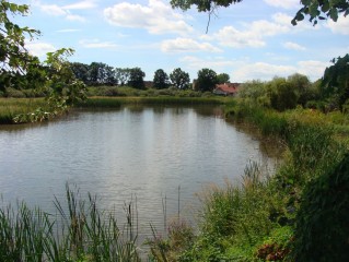 Zátoka rybníku Dvořiště