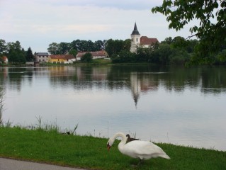 Pohled na kostel přes Bošilecký rybník