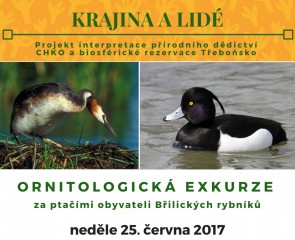 Ornitologická exkurze na Břilické rybníky 2017
