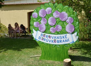 Borovanské borůvkobraní 2017