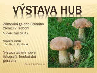 Výstava hub 2017