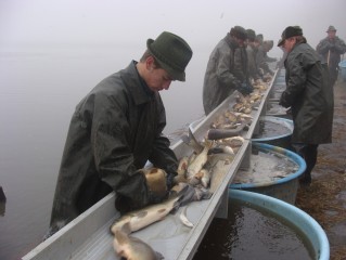 Pozvánka na jarní výlov rybníka Koclířov 2009