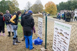 Znáte ryby? Pomůže vám atlas ryb