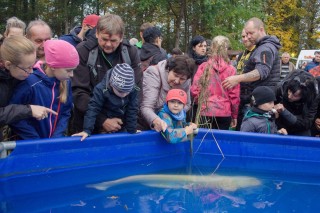 Výstava živých ryb; velký albín v bazénu!