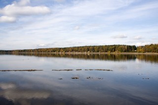 Rybník Dvořiště, Třeboňsko.cz