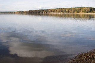 Rybník Dvořiště, Třeboňsko.cz