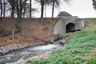 Rybník Dvořiště, Třeboňsko.cz