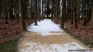 Promenádní stezky v lázeňském parku