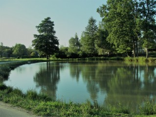 Návesní rybník