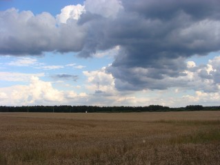 Třeboňsko (z trasy u Branné)