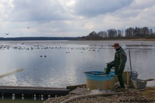 Opatovický rybník, jarní výlov 2018