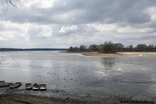 Opatovický rybník, jarní výlov 2018